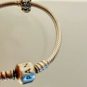 Pandora Bracelet